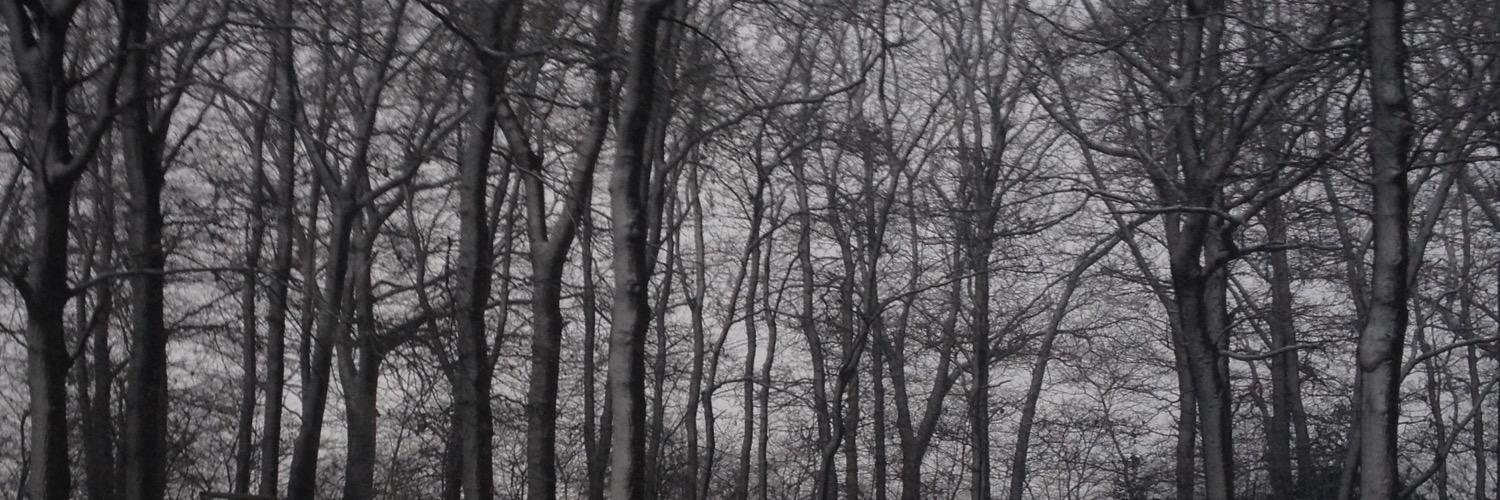 _kuperusje_'s profile banner image