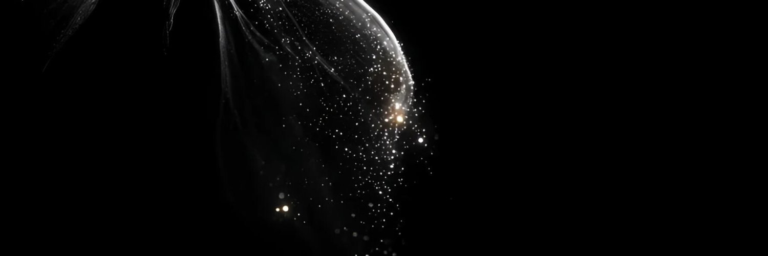 madar_yn's profile banner image