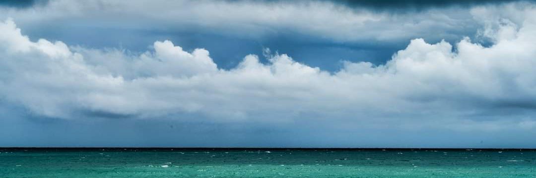 🌊Lost In Paradise🌊 banner