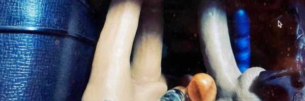 suefoxsix Profile Banner