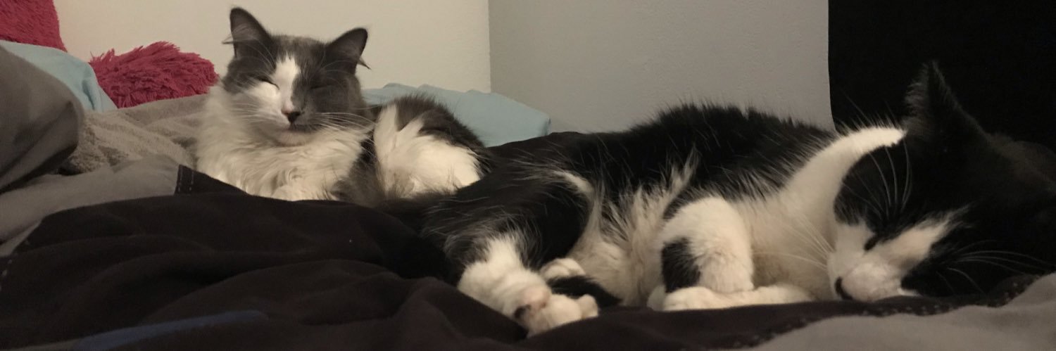 bumblefren's profile banner image
