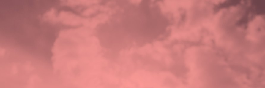 Trust in Digital Life banner