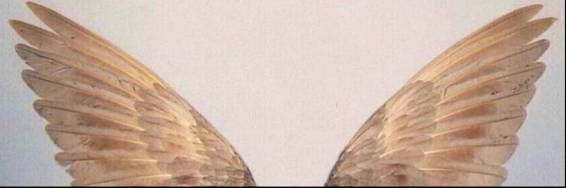 1aa11_'s profile banner image