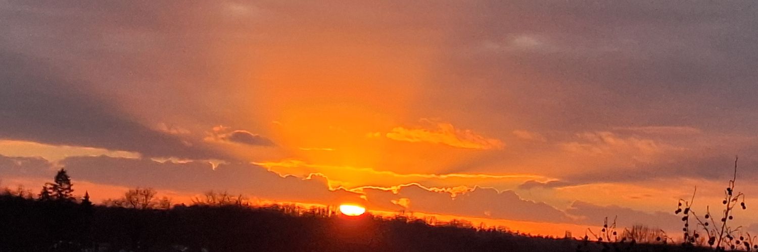 Marion Doomen banner