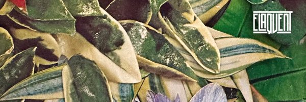 Elaquent Profile Banner