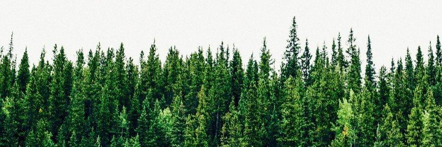 jfrankena's profile banner image