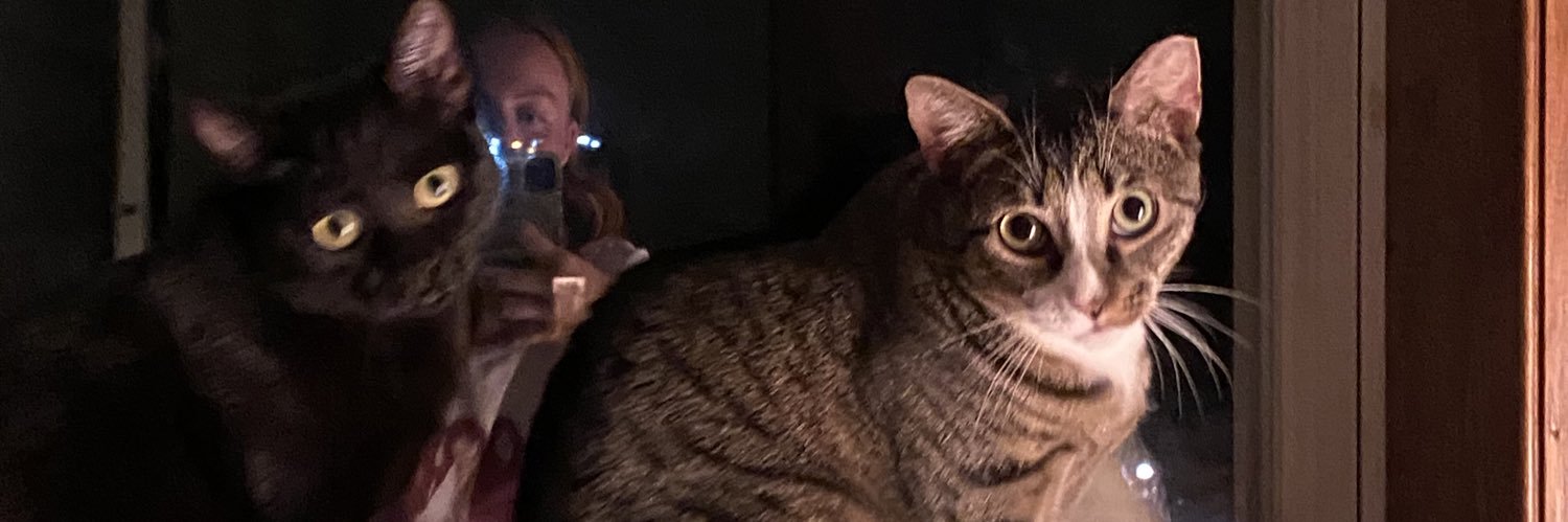 brianajoy3's profile banner image