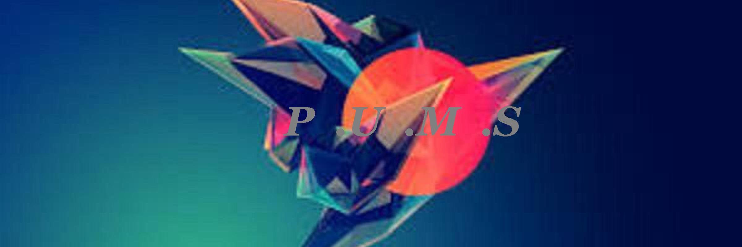 PUMSRecordsWM's profile banner image