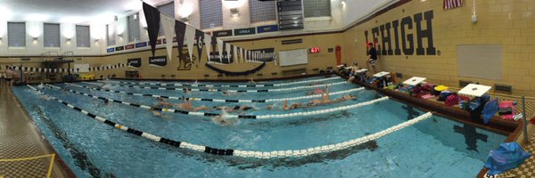 LehighSwimDive Profile Banner