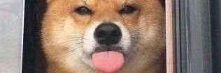 Alexkaos_'s profile banner image