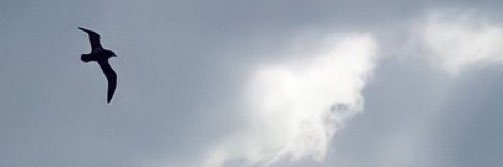 Eakabi banner