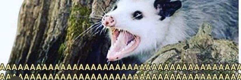 dyruj_'s profile banner image