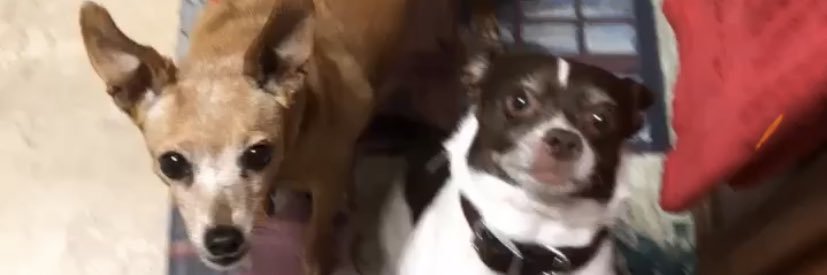 JAY MURCH♎️♏️Cusps☮️💟 banner