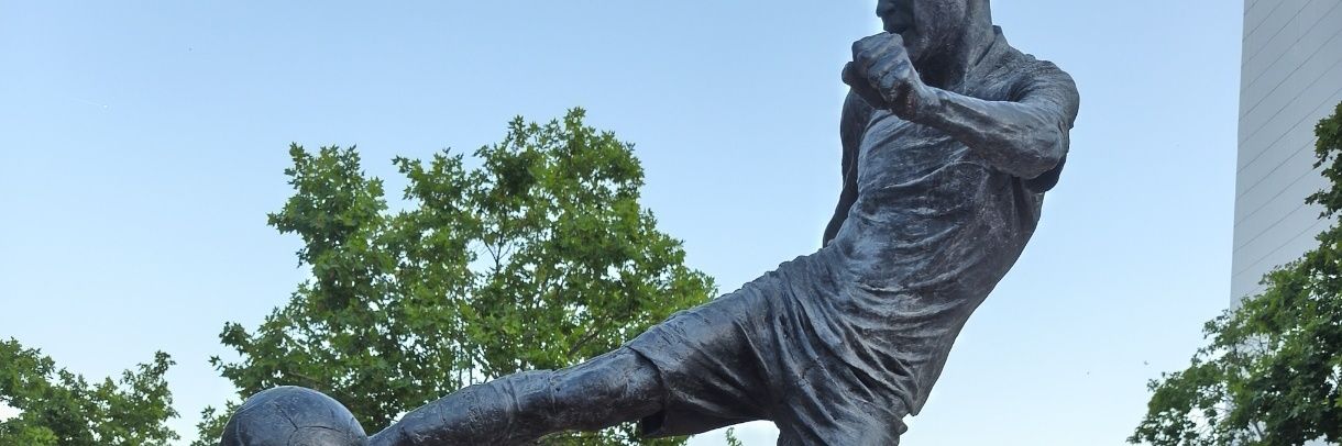 tweetiberik's profile banner image