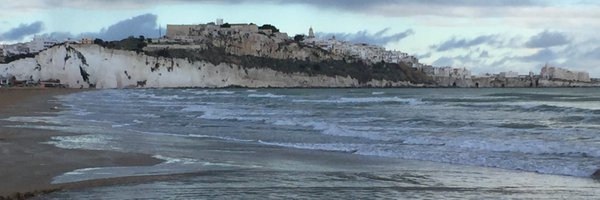 mastrorocconick Profile Banner