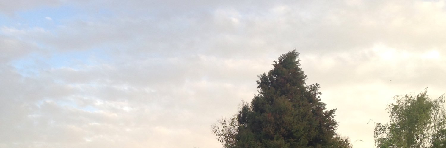 RebeMs's profile banner image