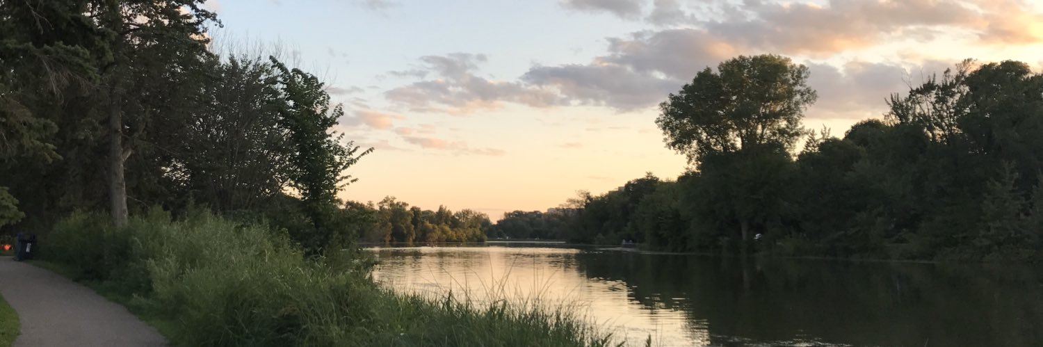 swald709's profile banner image