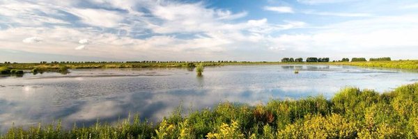 Haringvliet_nu Profile Banner