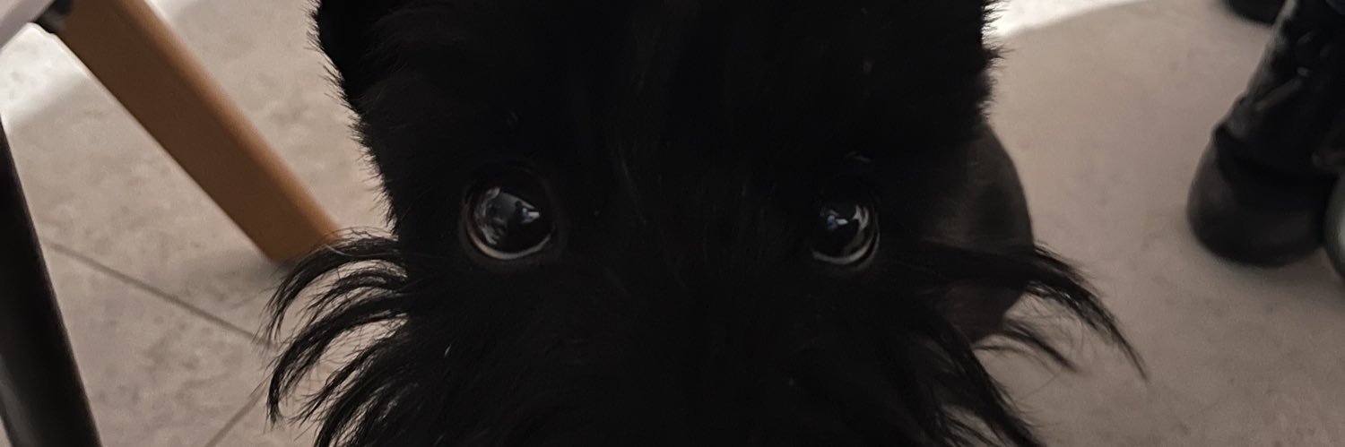 zectoriz's profile banner image