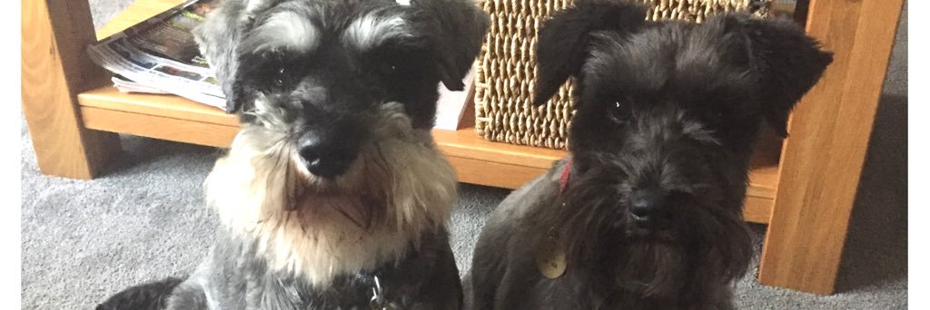 Chloe_Manning_X's profile banner image