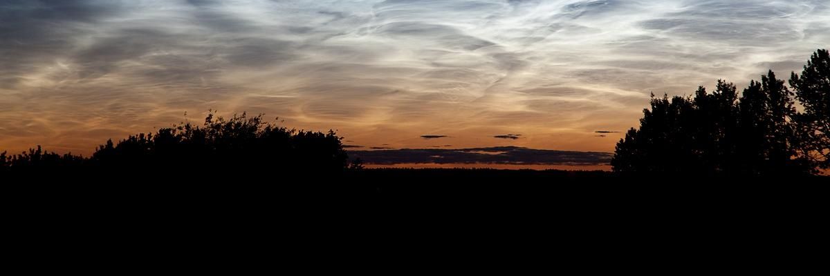 Neojcsky's profile banner image