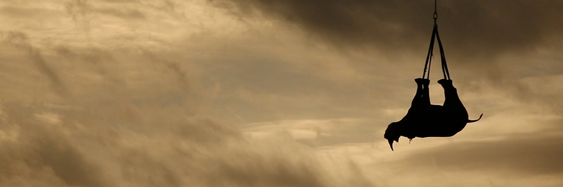 verigergedani's profile banner image