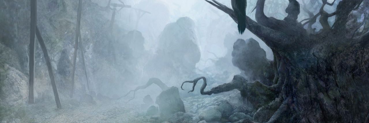 Ruy_75's profile banner image