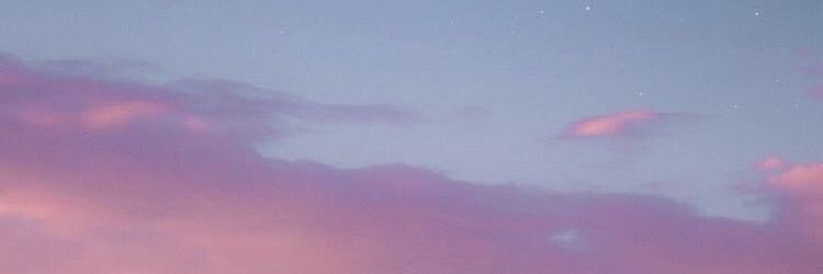 nixieily's profile banner image