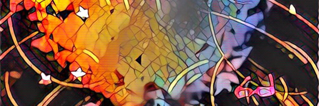 mitu_42's profile banner image