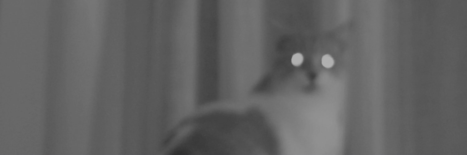 su briski banner