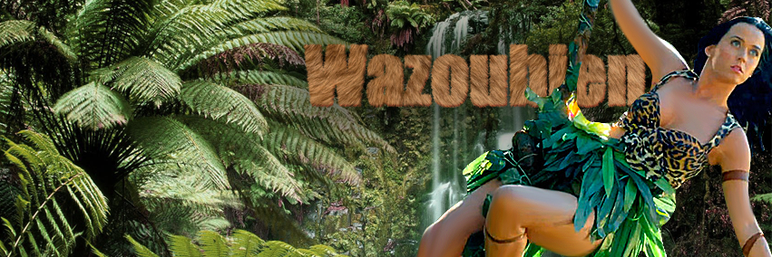 wazoubien's profile banner image