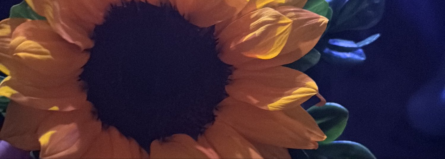 clarinnhaac's profile banner image