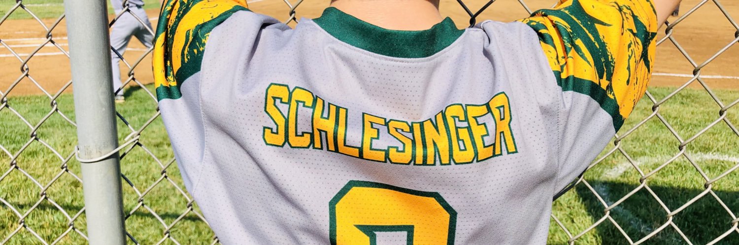 Robert Schlesinger 🇺🇸🇺🇦 banner