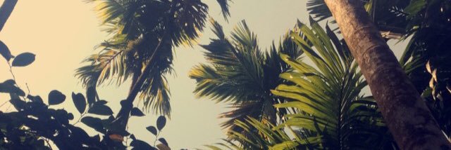 kimdaaavies's profile banner image