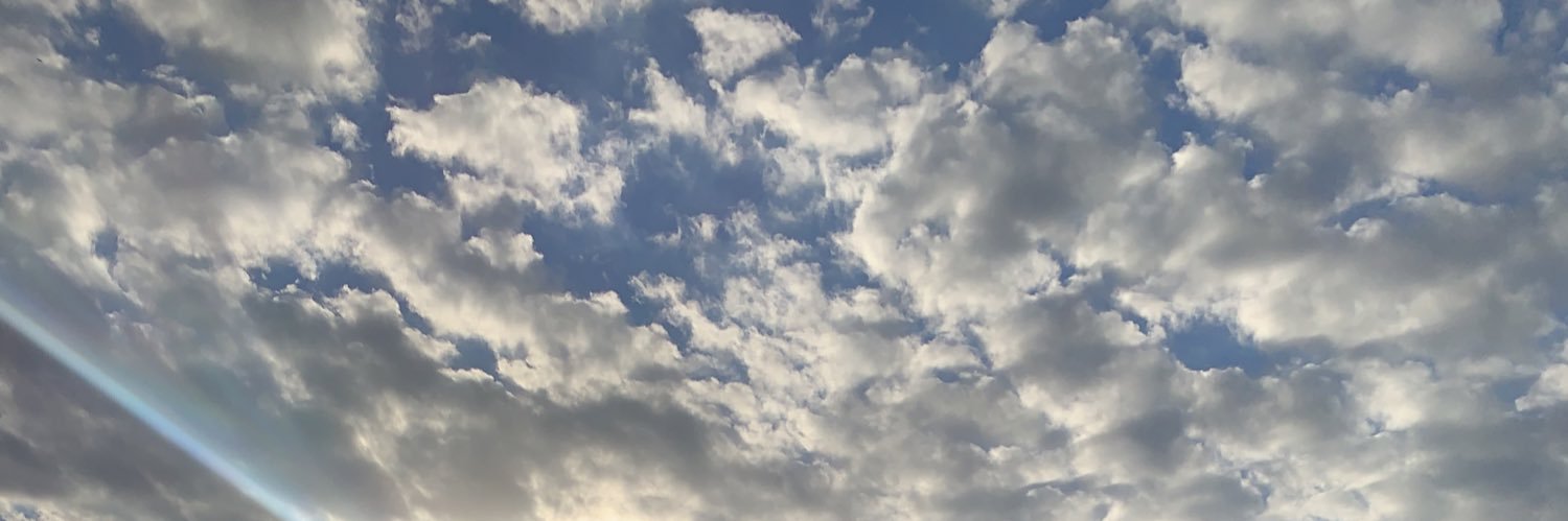 julia__lemoss's profile banner image