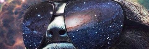sainz_daniel's profile banner image