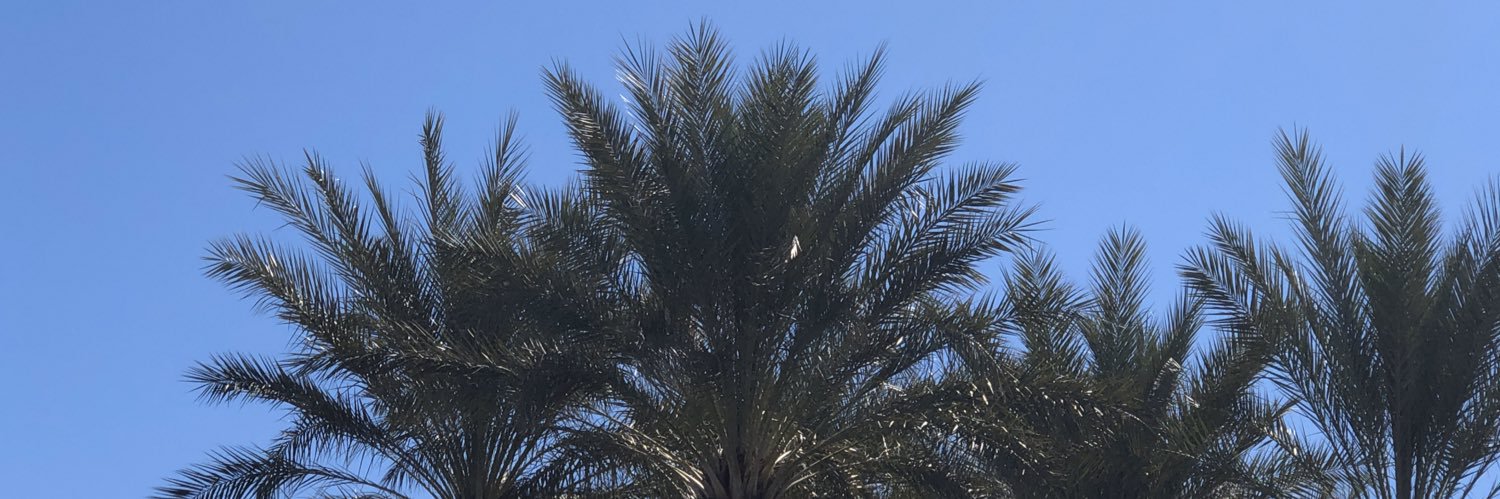 Desert Son banner