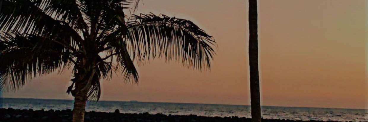 xicfq's profile banner image