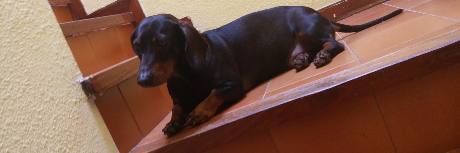 SergiioLlorente's profile banner image