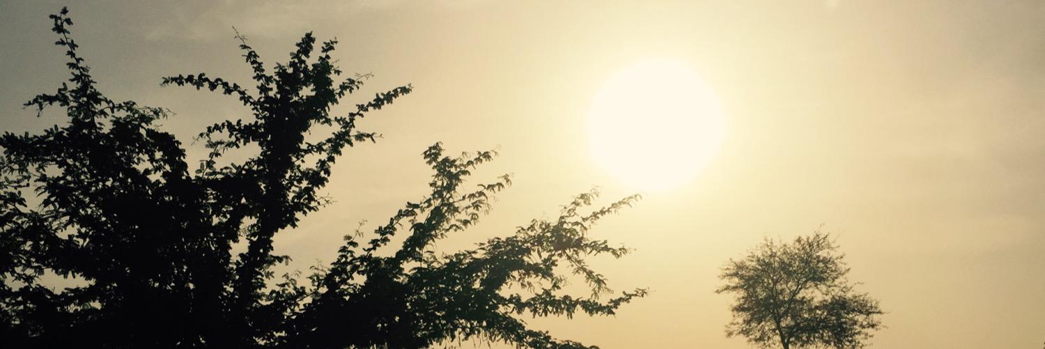 ViniRanka's profile banner image