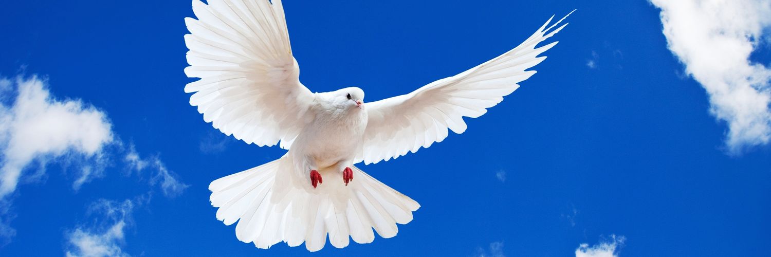 ItsTheMOTS's profile banner image