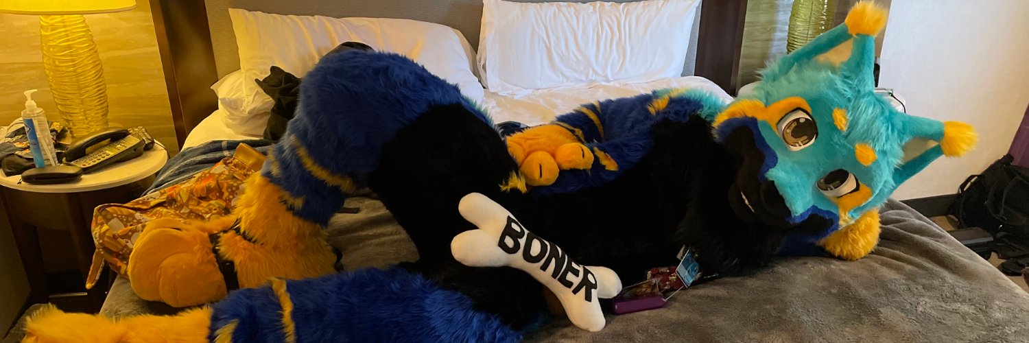 The Beeper!! @FWA banner