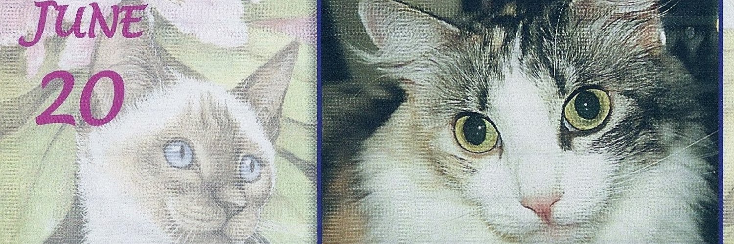 AngelDominique 🌻🇺🇦 banner