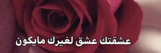 nadeemalsrab's profile banner image