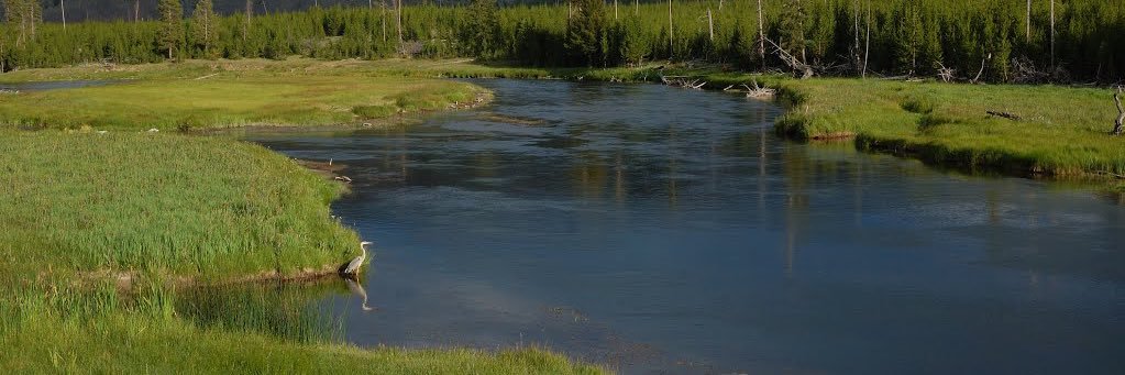 YetterIsland's profile banner image