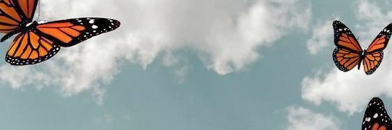 Brittany-Alexis banner