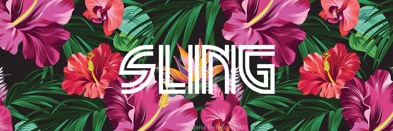 sling_dj's profile banner image