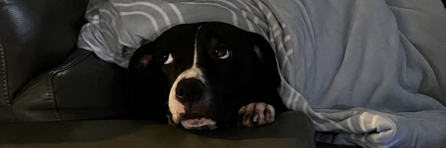 daddierika's profile banner image