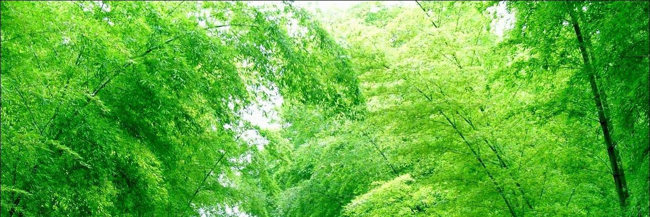 Linjiang | 林江 banner