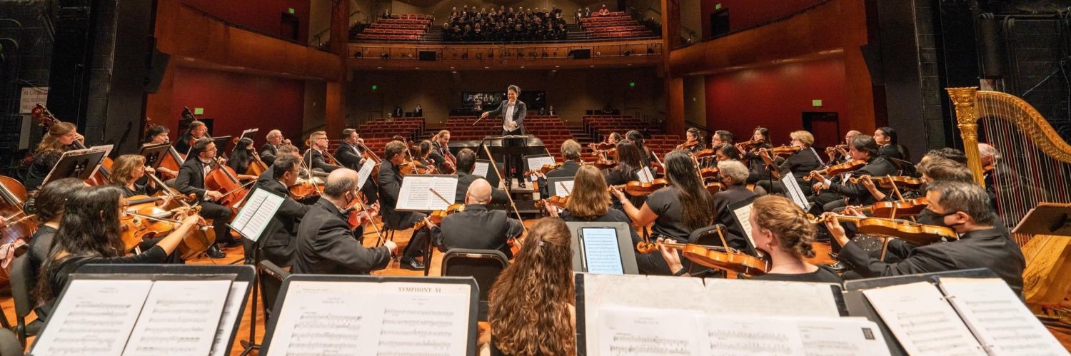Texas Medical Center Orchestra banner